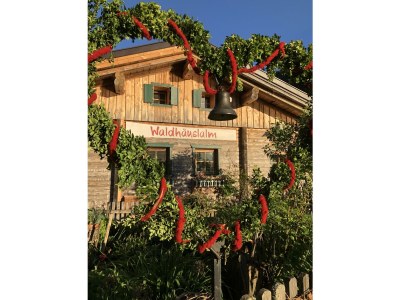 Apartment App. Hochwurzen/2 Schlafräume/Dusche, WC - Outdoor photo 56