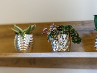 Apartment App./1 Schlafraum u. 1 Wohn-Schlafraum - Outdoor photo 23