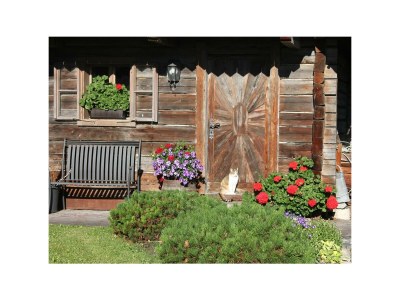 Apartment Apartment 2-3 Pers./Wohn-Schlafraum/Dusche, WC - Outdoor photo 25