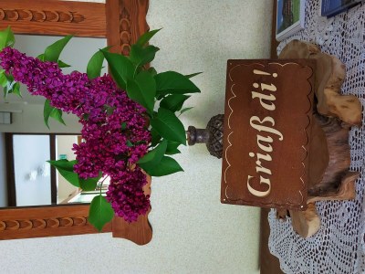 Apartment Apartment 2-3 Pers./Wohn-Schlafraum/Dusche, WC - Outdoor photo 47