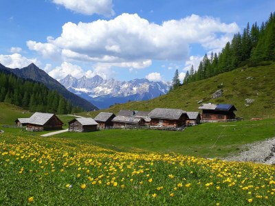 Apartment Apartment 2-3 Pers./Wohn-Schlafraum/Dusche, WC - Outdoor photo 50