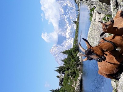 Apartment Apartment 2-3 Pers./Wohn-Schlafraum/Dusche, WC - Outdoor photo 52