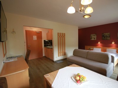 Apartment Apartment 2-3 Pers./Wohn-Schlafraum/Dusche, WC - Features photo 56