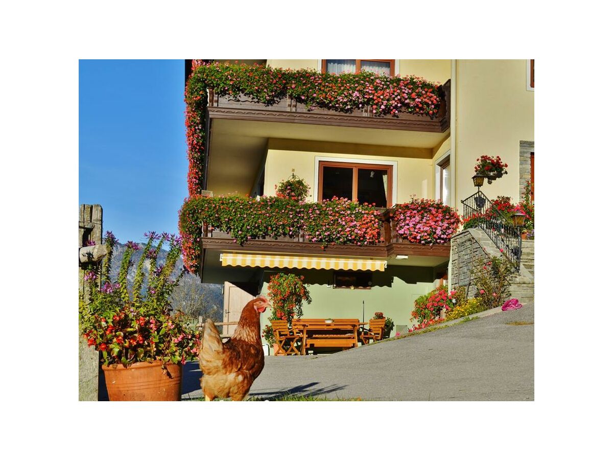 Holiday room Doppelzimmer mit Dusche, WC - Outdoor photo 5