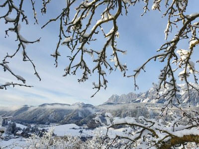 Holiday room Doppelzimmer mit Dusche, WC - Outdoor photo 7