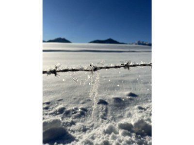 Apartment Appartement für 2-4 Personen - Outdoor photo 35