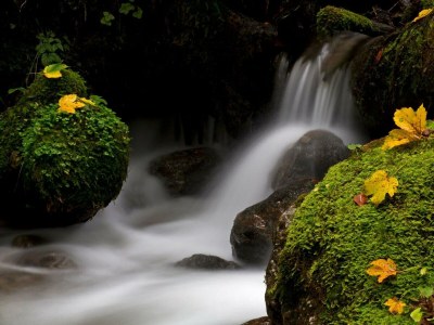 Apartment Chalet Schladming,3 Schlafräume,Dusche/WC/TV/Sauna - Outdoor photo 12