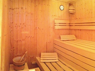 Apartment Chalet Schladming,3 Schlafräume,Dusche/WC/TV/Sauna - Outdoor photo 47