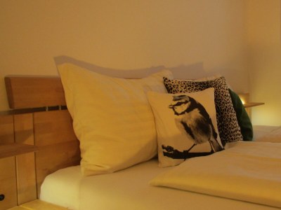 Apartment Chalet Schladming,3 Schlafräume,Dusche/WC/TV/Sauna - Outdoor photo 57