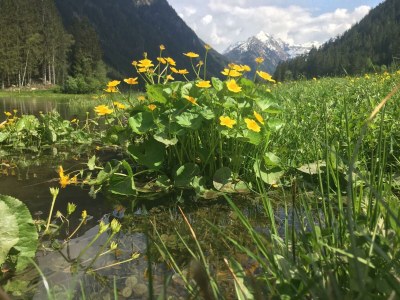 Apartment Chalet Schladming,3 Schlafräume,Dusche/WC/TV/Sauna - Outdoor photo 70
