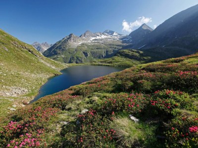 Apartment Chalet Schladming,3 Schlafräume,Dusche/WC/TV/Sauna - Outdoor photo 74