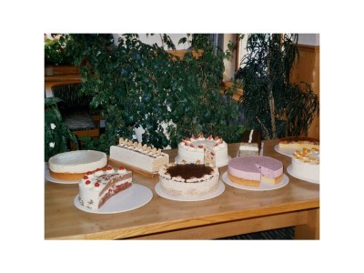 Holiday room Zweibettzimmer mit Dusche, WC in Schladming-Rohrmoos - Holiday room