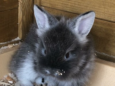 Apartment App. Kaibling /2 Schlafräume/Dusche/WC - Outdoor photo 15