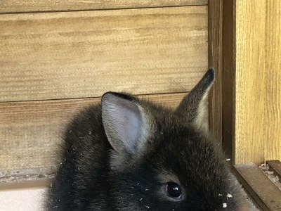 Apartment App. Kaibling /2 Schlafräume/Dusche/WC - Outdoor photo 16