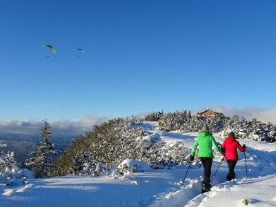 Apartment Appartement Hochwurzen - Outdoor photo 15
