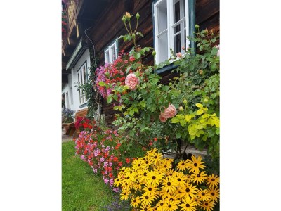 Apartment Appartement Hochwurzen - Outdoor photo 18