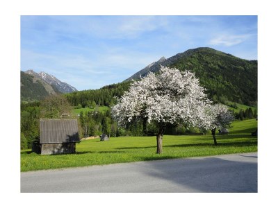 Holiday room Vierbettzimmer, Dusche, WC - Outdoor photo 10