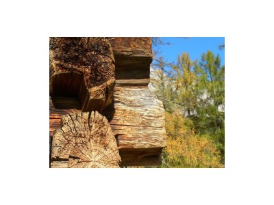 Apartment Apartment 4.5  2 Schlafräume mit jeweils Dusche/WC - Outdoor photo 7