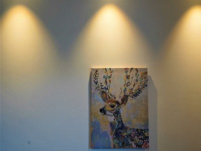 Apartment Appartement/Fewo, Gipfelstürmer - Features photo 28