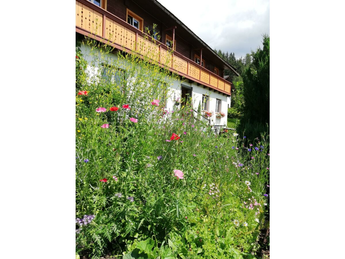 Holiday room Doppelzimmer mit Dusche, WC - Outdoor photo 4