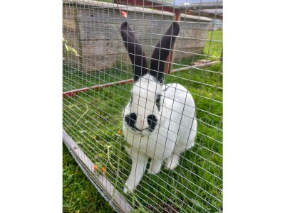 Holiday room Doppelzimmer mit Dusche, WC - Outdoor photo 11