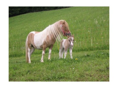 Holiday room Familienzimmer Bergblick - Outdoor photo 15