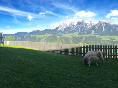 Holiday room Familienzimmer Ennstal/Dachstein - Outdoor photo 5