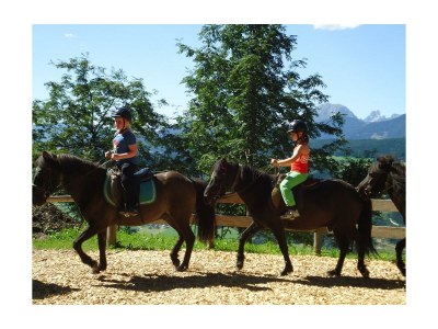 Holiday room Familienzimmer Ennstal/Dachstein - Outdoor photo 11