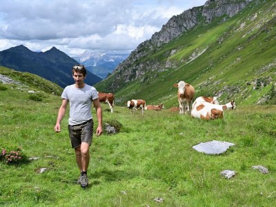 Holiday room Familienzimmer Ennstal/Dachstein - Outdoor photo 12