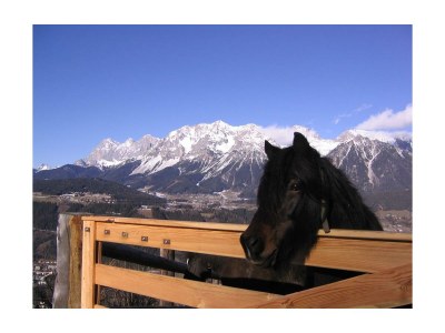 Holiday room Familienzimmer Ennstal/Dachstein - Outdoor photo 13
