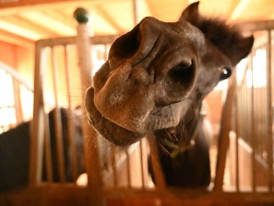 Holiday room Familienzimmer Ennstal/Dachstein - Outdoor photo 16