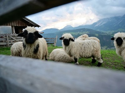 Holiday room Doppelzimmer Typ B - Outdoor photo 14