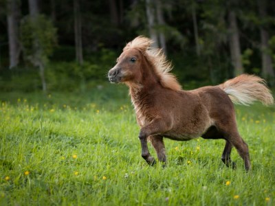 Holiday room Doppelzimmer Typ B - Outdoor photo 22