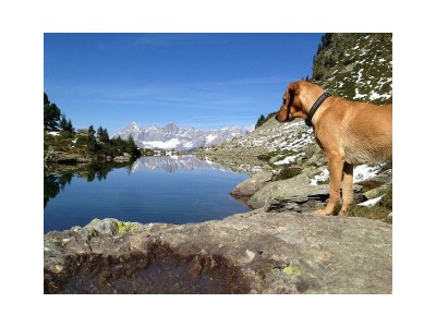 Holiday room Doppelzimmer mit Dusche, WC - Outdoor photo 3