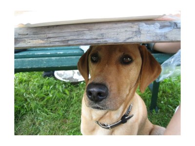 Holiday room Doppelzimmer mit Dusche, WC - Features photo 73