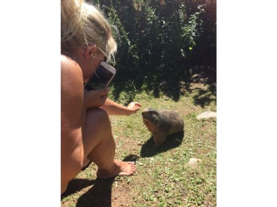 Apartment Appartement Gottliab - 3-Raum-Appartment, Bad, WC - Outdoor photo 13