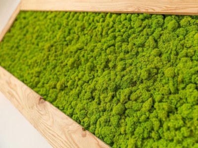 Apartment Appartement Gottliab - 3-Raum-Appartment, Bad, WC - Outdoor photo 51