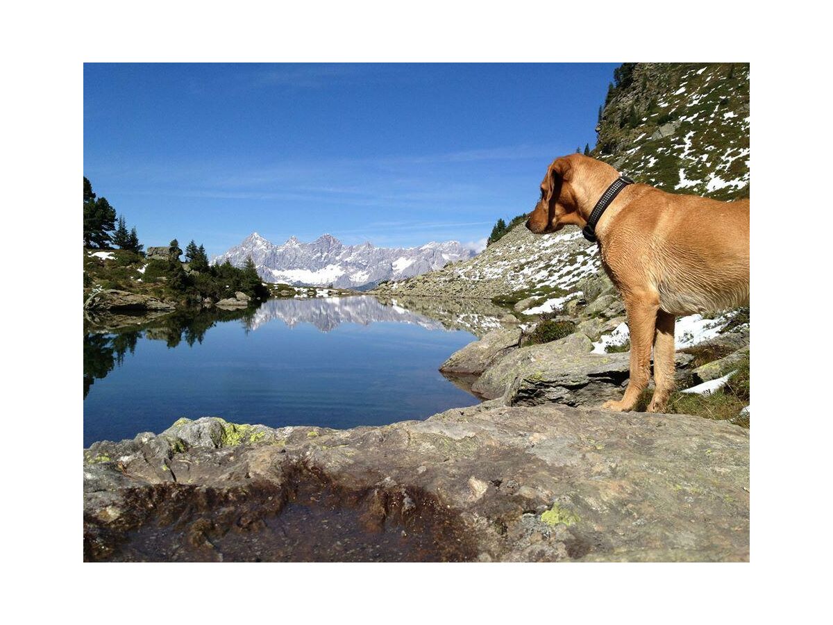 Apartment Appartement Ossi - 2-Raum-Appartement, Bad, WC - Outdoor photo 3