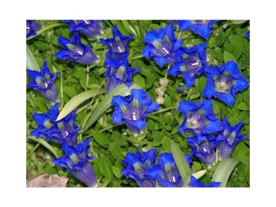 Apartment Apartment/Wohn-/Schlafraum für 2 Pers. - Outdoor photo 17