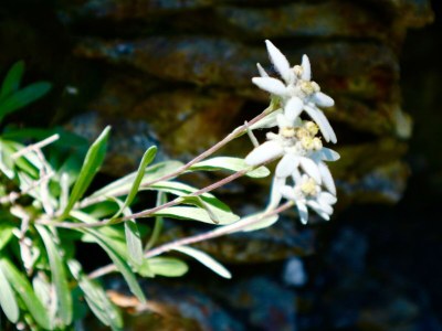 Apartment Appartement "Tauern" - Outdoor photo 23