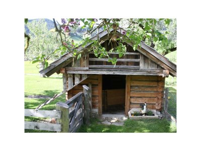 Apartment Apartment/2 Schlafräume/Dusche, WC - Outdoor photo 6