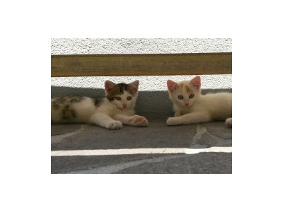 Apartment Apartment/2 Schlafräume/Dusche, WC - Outdoor photo 9