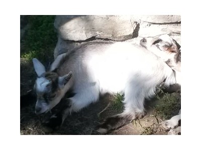 Apartment Apartment/2 Schlafräume/Dusche, WC - Outdoor photo 10