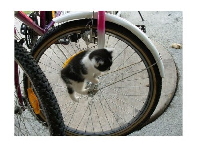 Apartment Apartment/2 Schlafräume/Dusche, WC - Outdoor photo 11