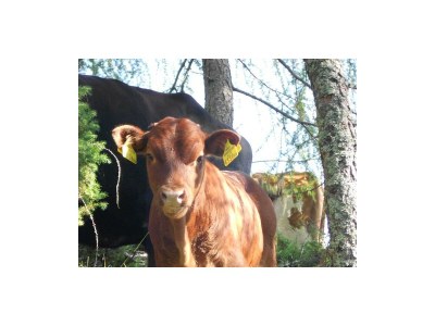 Apartment Apartment/2 Schlafräume/Dusche, WC - Outdoor photo 12