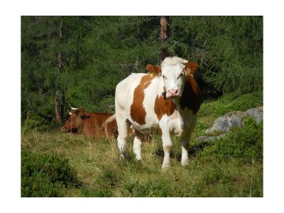 Apartment Apartment/2 Schlafräume/Dusche, WC - Outdoor photo 13