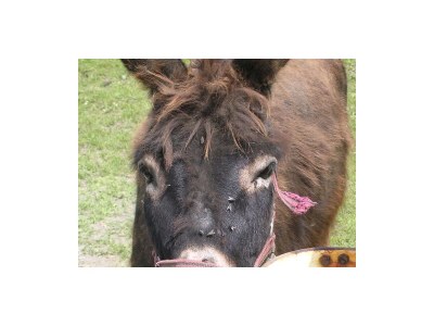 Apartment Apartment/2 Schlafräume/Dusche, WC - Outdoor photo 14