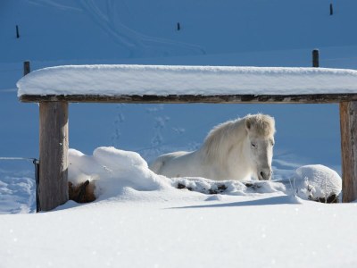 Apartment Apartment/2 Schlafräume/Dusche, WC - Outdoor photo 19