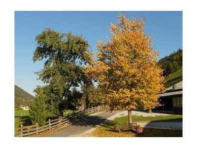 Apartment Apartment/2 Schlafräume/Dusche, WC - Outdoor photo 25