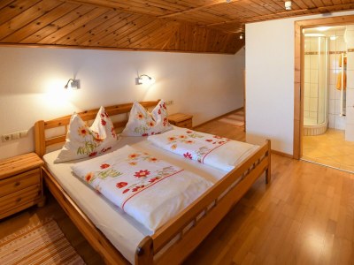 Apartment Apartment/2 Schlafräume/Dusche, WC - Features photo 43